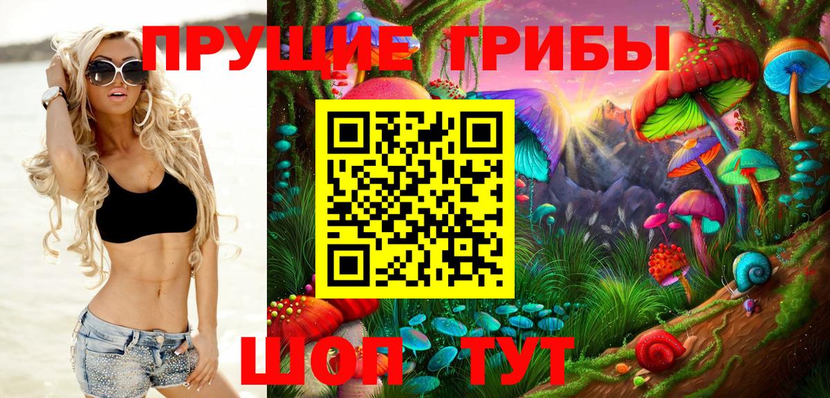 Псилоцибиновые грибы мицелий Архангельск